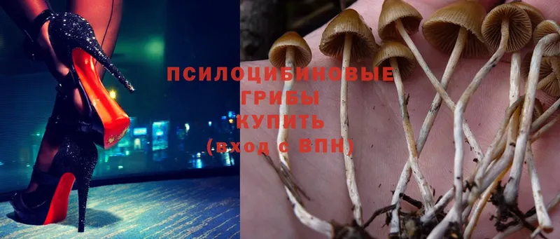 Псилоцибиновые грибы Magic Shrooms  Кирс 